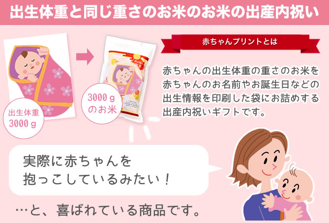 令和2年産新潟県産こしいぶき 抱っこ できる 赤ちゃんプリント 送料無料