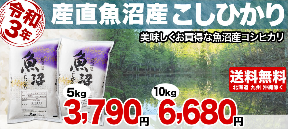 受賞店舗】 ラクラク幹事さん 新潟産コシヒカリ 6,000円 10kg コース 送料無料 北海道 九州 沖縄除く