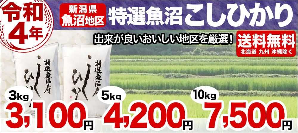 お米プラザ新潟本店 - 新潟産コシヒカリも魚沼産こしひかりも 出生体重米もお米プラザ新潟におまかせ