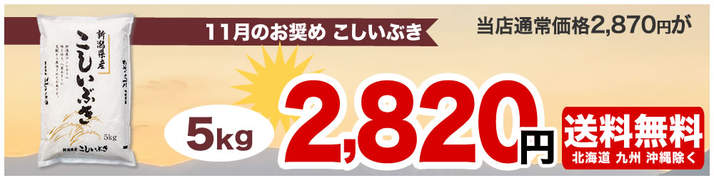 新潟産こしいぶき【お米プラザ新潟】しっかりした食感とお求め易い価格