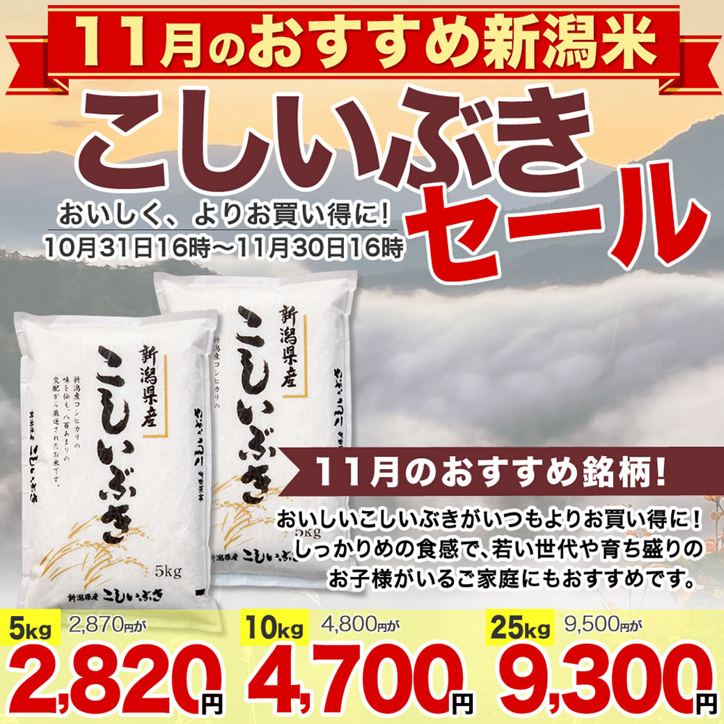 新潟産こしいぶき【お米プラザ新潟】しっかりした食感とお求め易い価格