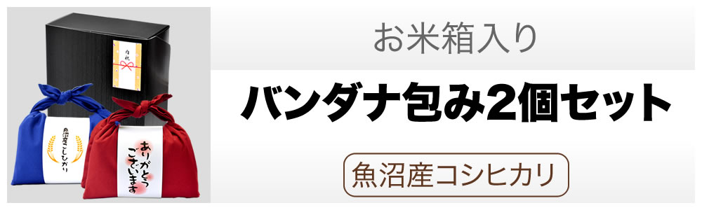 バンダナ包み 2個セット