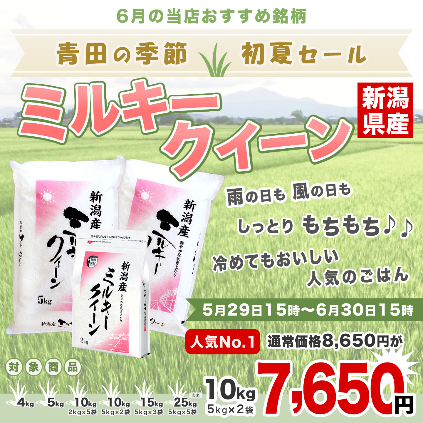 ミルキークイーンSALE