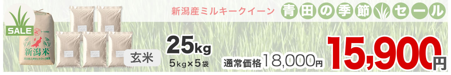 ミルキークイーン25kg 玄米